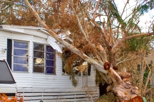 Storm damage